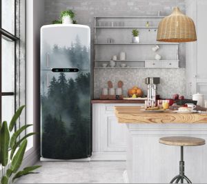 Αυτοκόλλητο ψυγείου forest fog PS240